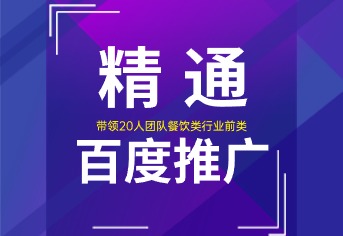 精通百度推广
