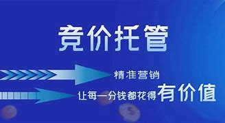 sem竞价推广托管代运营公司