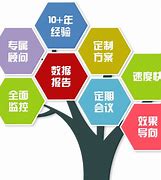 竞价代运营公司有哪些